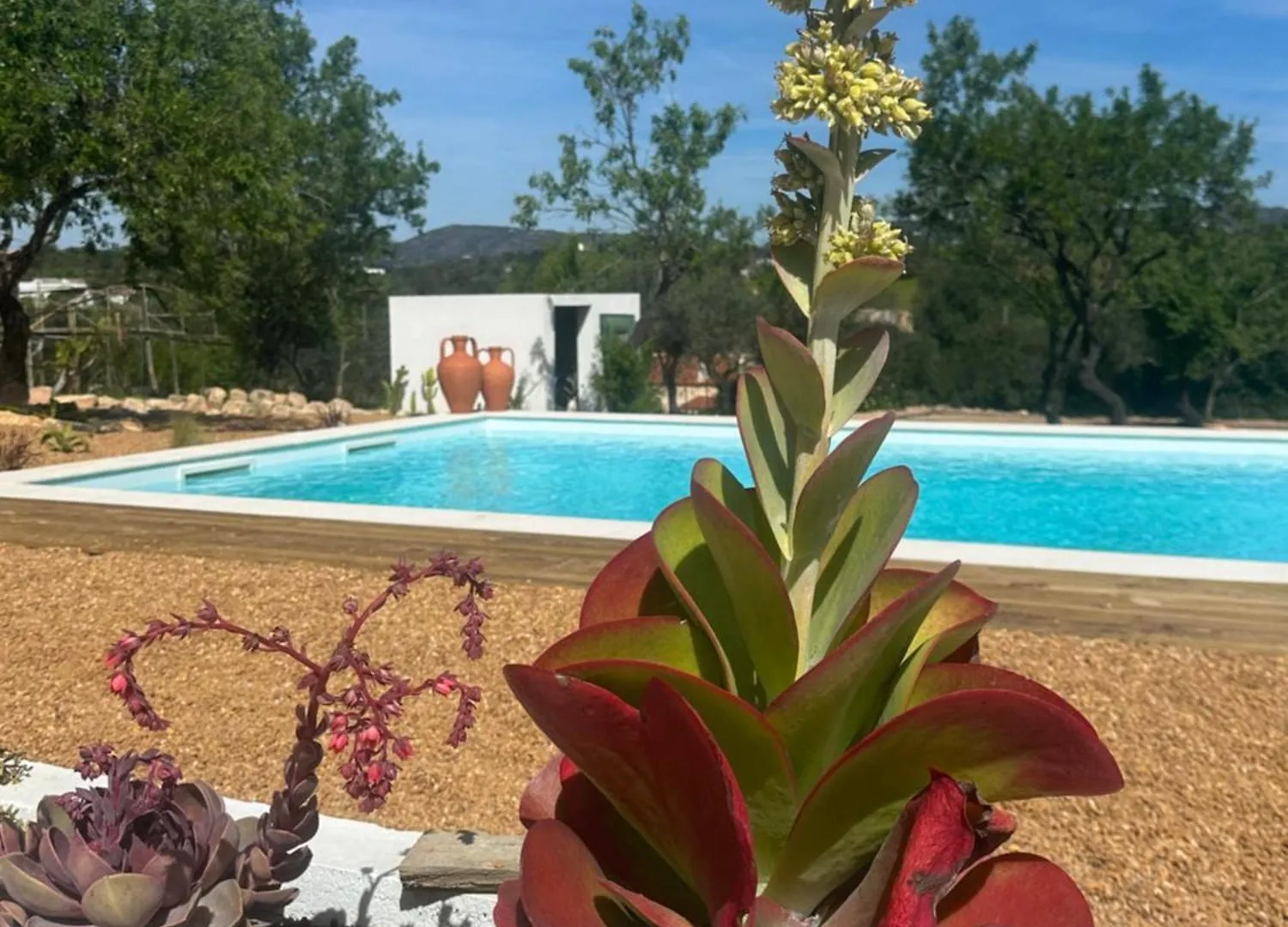 Villa La Quinta Da Liberdade - Ferme De Charme En Algarve à Pechão Portugal