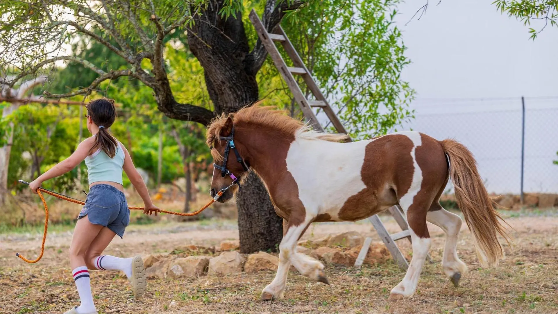 Villa La Quinta Da Liberdade - Ferme De Charme En Algarve à Pechão Séjour à la ferme