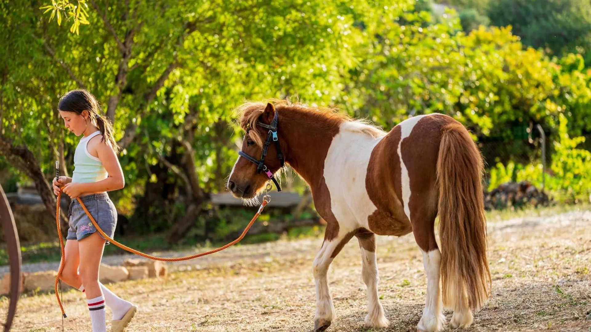 Villa La Quinta Da Liberdade - Ferme De Charme En Algarve à Pechão Séjour à la ferme