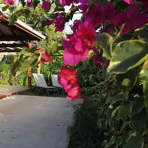 https://kalypso-les-villas-kikko.comcaribbean.com